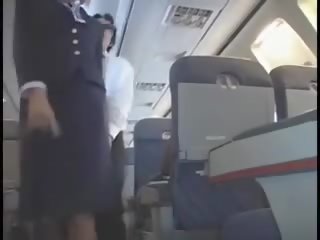 American stewardes fantezie