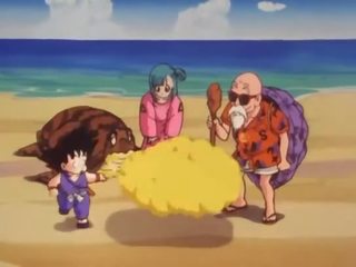 Bulma 만족 그만큼 expert roshi 과 영화 그녀의 고양이