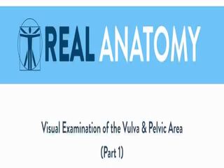 Голям бюст брюнетка movs на anatomy на тя вулва