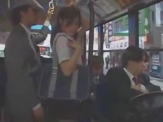아시아의 비탄 lassie 모색 에 버스 로 그룹