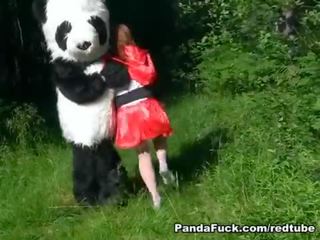 Raudonas jojimas gaubtas pakliuvom iki panda