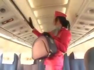Inviting stewardeza sugand manhood înainte cunnilingus