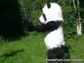 Piros lovaglás motorháztető szar által panda