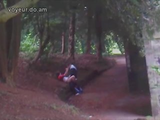Par fångad knull i woods