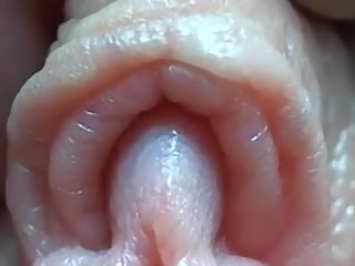 Clitoris fermer: gratuit gros plans cochon agrafe vid 3f