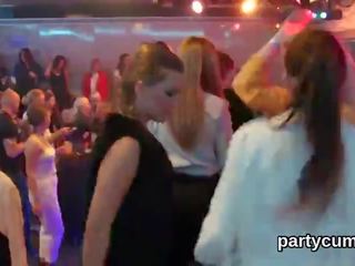Naughty kittens get completely foolish and naked at hardcore party